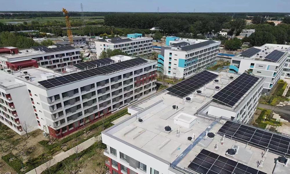 ɽӰ÷(xing)ĿW(wng)l(f)(xing)Ŀ